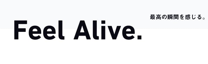 Amazon | ダイワ(DAIWA) 玉網 鮎ダモ V36 ブラック | ダイワ(DAIWA